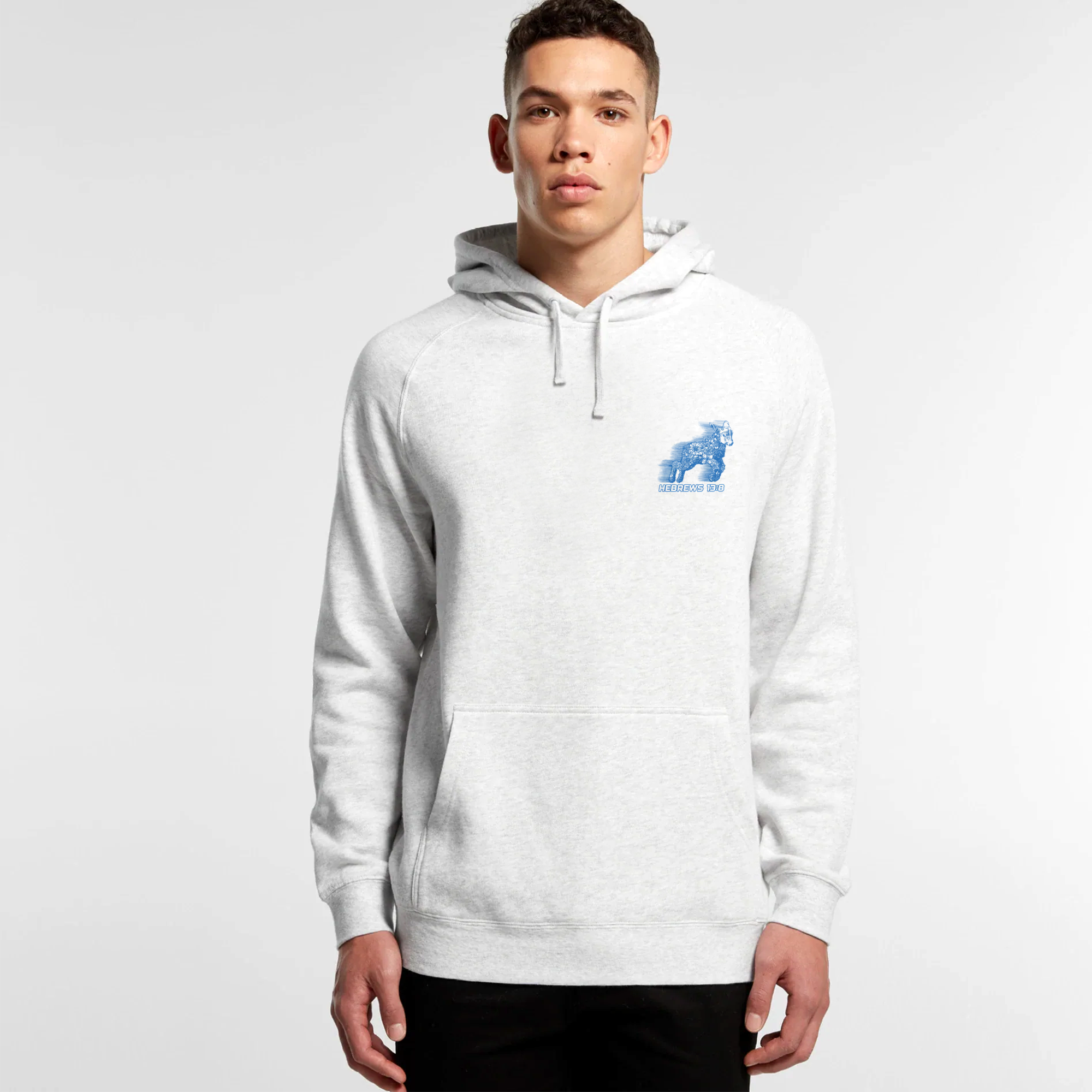 Hebrews 13 8 Lamb Hoodie